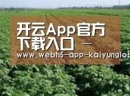 种植基地五