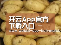 产品展示标题6
