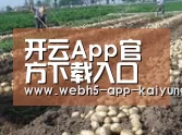 种植基地八