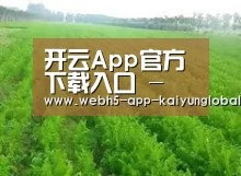 种植基地四