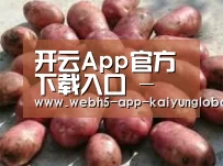 产品展示标题5(图1)