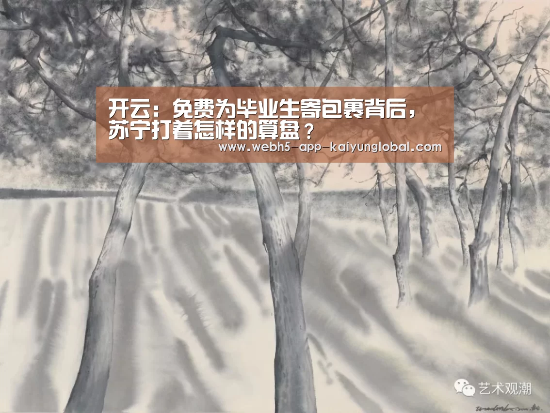 开云:免费为毕业生寄包裹背后,苏宁打着怎样的算盘?(图2) 开云