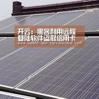开云:黑客利用远程登陆软件盗取信用卡信息(图1) 开云