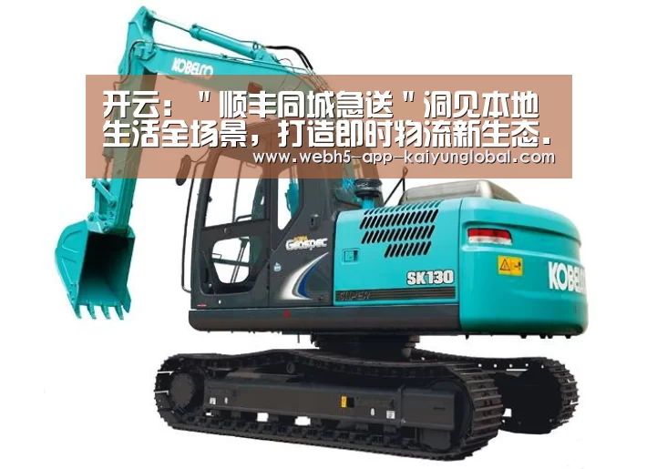 开云：＂顺丰同城急送＂洞见本地生活全场景，打造即时物流新生态............(图2)