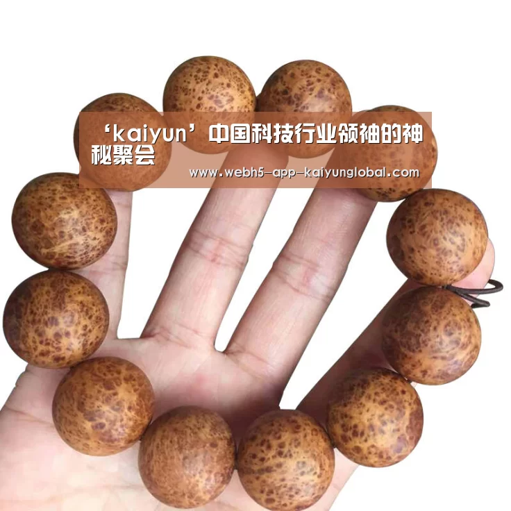 ‘kaiyun’中国科技行业领袖的神秘聚会(图1) ‘kaiyun’中国科技行业领袖的神秘聚会(图1)