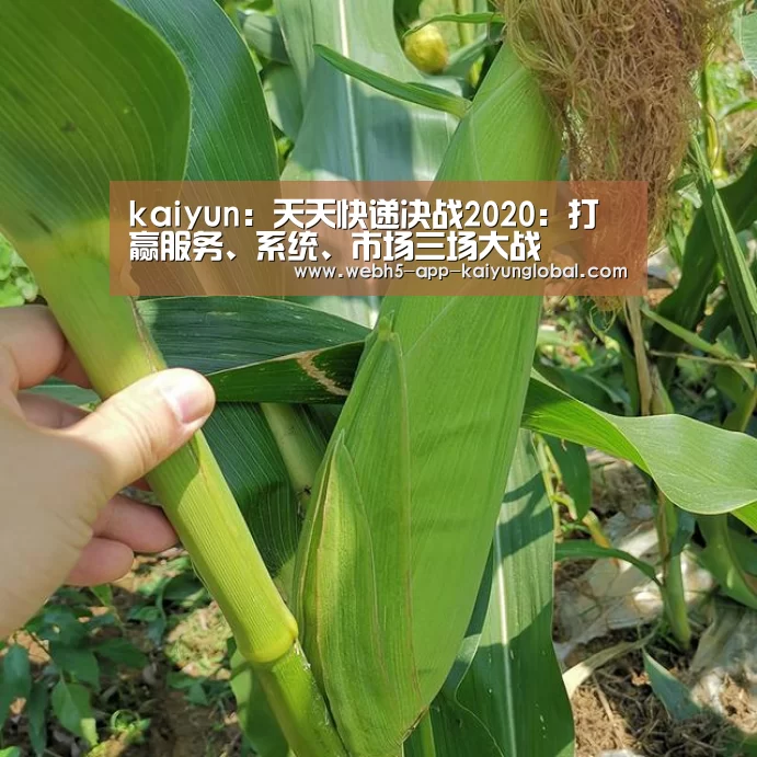 kaiyun:天天快递决战2020:打赢服务、系统、市场三场大战(图2) kaiyun:天天快递决战2020:打赢服务、系统、市场三场大战(图2)